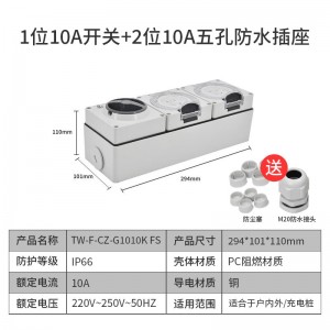 TW-CZ-G1010K FS 2位新国标五孔10A 250V IP66