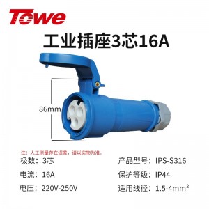 IPS-S316 三芯母头