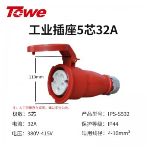 IPS-S532 五芯母头